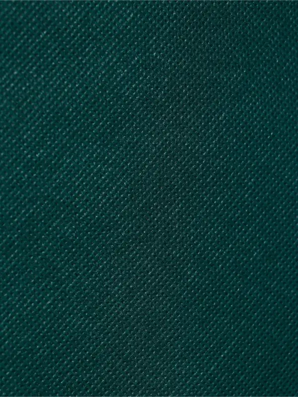 Пакет с петлевой ручкой, сумка - шопер «Эко», 38×32×10 см, изумрудный Пакет с петлевой ручкой, сумка - шопер «Эко», 38×32×10 см, изумрудный