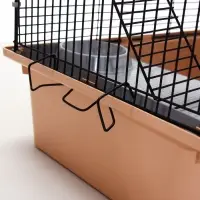 Клетка для грызунов &laquo;Пижон&raquo;, 42&times;30&times;65 см, 4 этажа, 2 домика, колесо, миска, бежевая