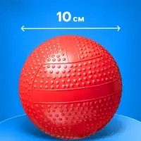 Мяч резиновый фактурный, диаметр 10 см, цвета МИКС