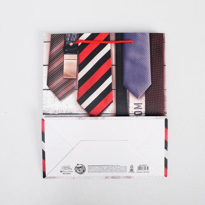 Пакет подарочный ламинированный вертикальный, упаковка, «С Праздником», ML 23 х 27 х 8 см Пакет подарочный ламинированный вертикальный, упаковка, «С Праздником», ML 23 х 27 х 8 см