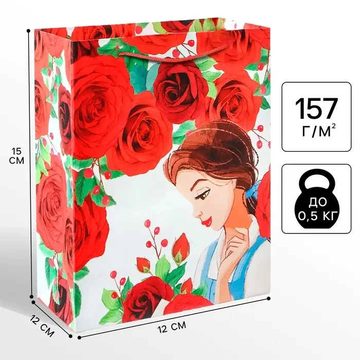 Пакет подарочный &laquo;Подарок для тебя&raquo;,12х15х5.5 см, упаковка, Принцессы