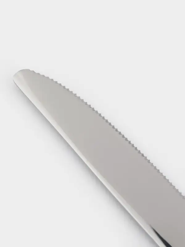 Нож столовый Magistro Workshop, длина 22 см, нержавеющая сталь, серебристый