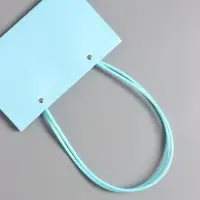 Сумка для цветов влагостойкая, тиффани, 22x10.5x13.5 см Сумка для цветов влагостойкая, тиффани, 22x10.5x13.5 см