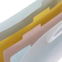 Папка А4 Eco, 6 отделений, 650 мкм, вертикальная, с ручкой, прозрачная, с рисунком