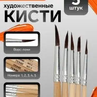 Набор кистей для рисования, пони, 5 штук: № 1, 2, 3, 4, 5, круглые, деревянная ручка, международный размер