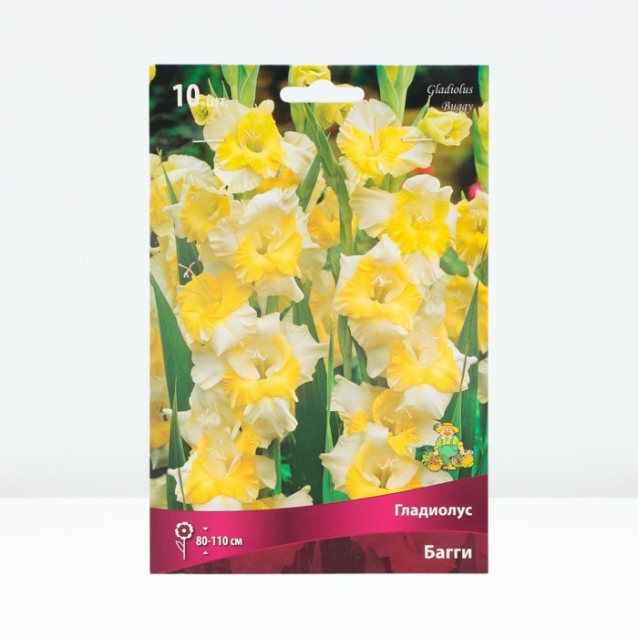Гладиолус крупноцветковый «Багги», луковица цветов в пакете с перфорацией, р-р 10/12, 10 шт.