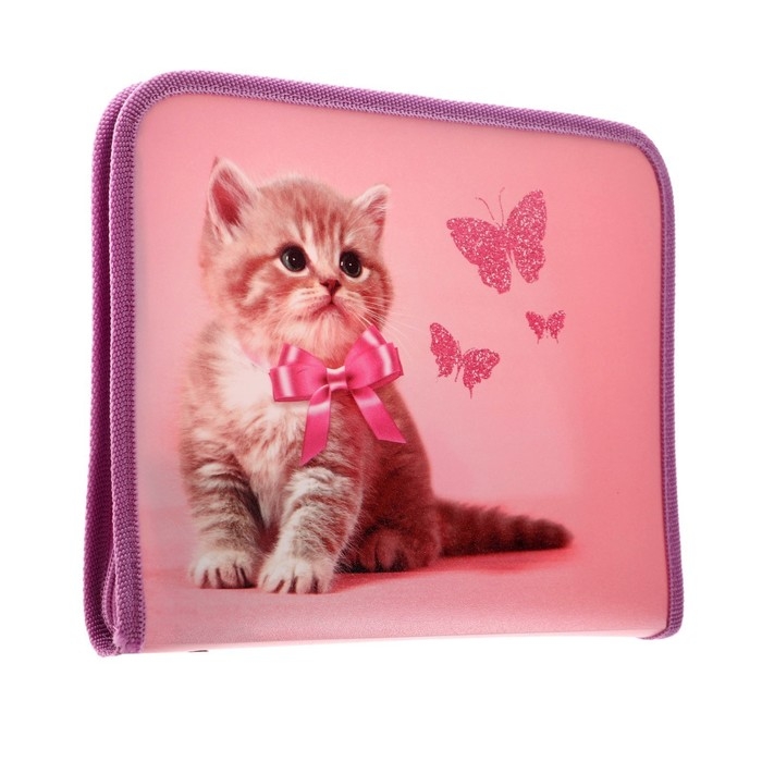 Папка для тетрадей А5, 180 х 230 х 25 мм, молния вокруг, пластиковая 0.5, ПМ-А5-04 Calligrata Папка для тетрадей А5, 180 х 230 х 25 мм, молния вокруг, пластиковая 0.5, ПМ-А5-04 Calligrata