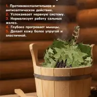Веник для бани, дубовый, 55 см, с шалфеем, &laquo;Добропаровъ&raquo;