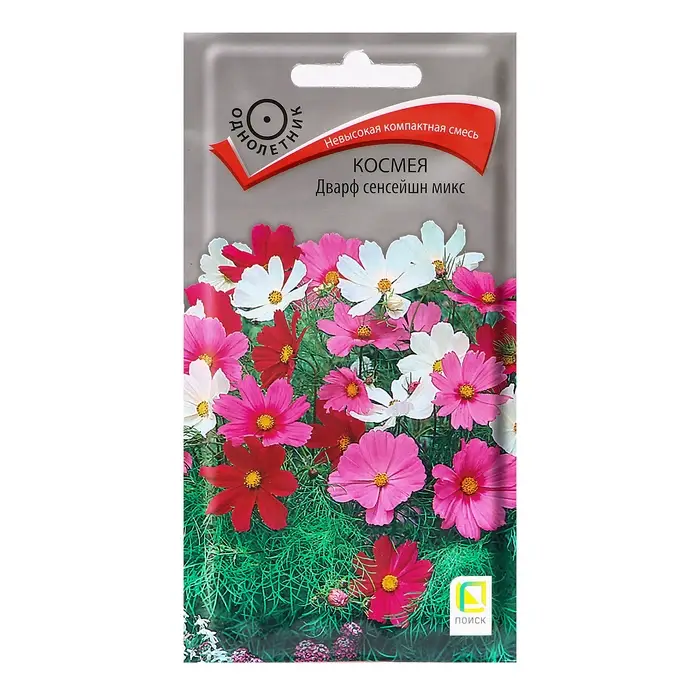 Семена цветов Космея «Дварф сенсейшн», микс, 0.2 г, «Поиск» Семена цветов Космея «Дварф сенсейшн», микс, 0.2 г, «Поиск»