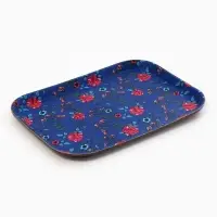 Поднос прорезиненный &laquo;Колор&raquo;, 35&times;25&times;2 см, пластик, синий