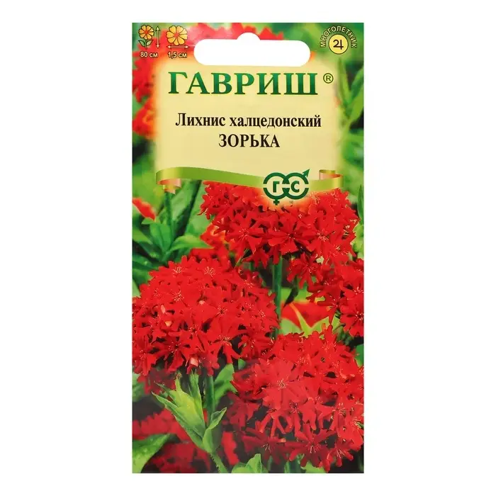 Семена Лихнис "Зорька", ц/п,  0,1 г