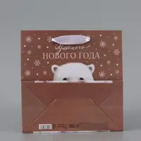 Пакет подарочный новогодний крафтовый квадратный &laquo;Уютного Нового года&raquo;, 22&times;22&times;11 см