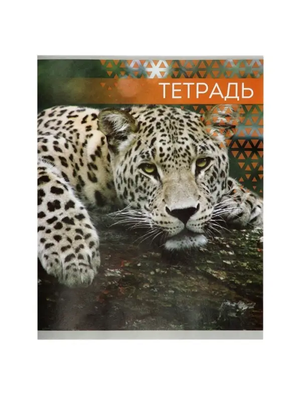 Тетрадь &laquo;Дикие кошки&raquo;, 48 листов, в клетку, МИКС