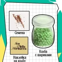 Набор для опытов &laquo;Выращиваем травку&raquo;, своими руками, зеленый