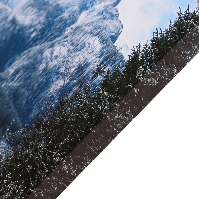 Картина на холсте Картина на холсте "Горы в лесу" 60х100 см