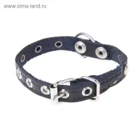 Ошейник тисненый однослойный, 31&times;1.2 см, украшенный, кожа, цвет МИКС