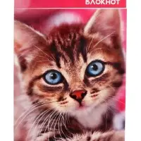 Набор блокнотов А6 40л кл на скобе Котята и щенята, мел карт, 4В 20шт