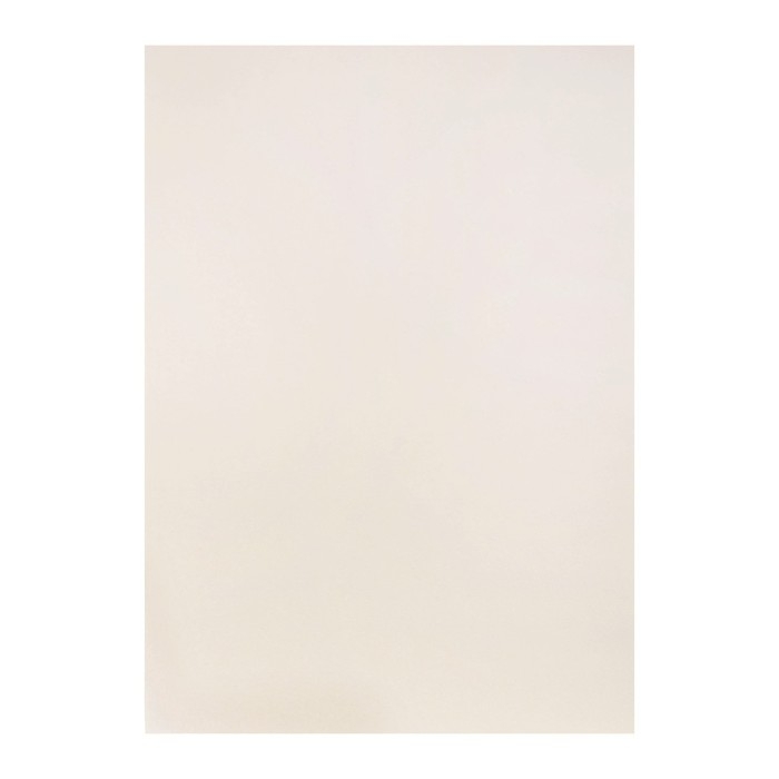 Бумага для пастели А3, 10 листов,  Бумага для пастели А3, 10 листов, "Мосты", бумага слоновая кость, ГОЗНАК, тиснение "холст", блок 200 г/м2, в папке