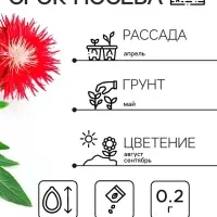 Семена   Астра Ажурная россыпь, смесь окрасок , 0,2г
