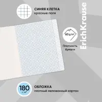 Тетрадь 24 листа в клетку, ErichKrause «Классика Visio», обложка мелованный картон, МИКС