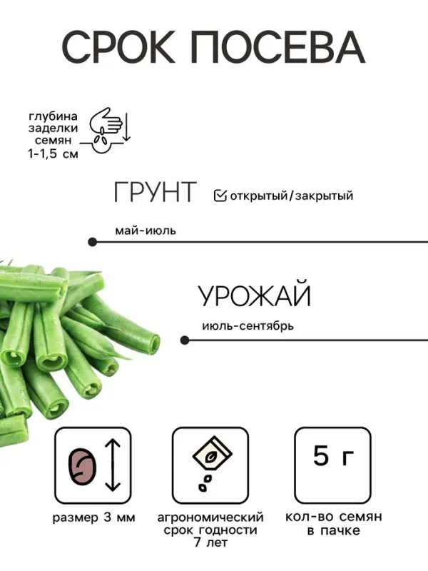Семена Фасоль &laquo;Аллюр&raquo;, 8 г, &laquo;Агросс&raquo;