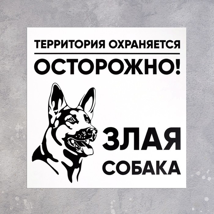 Табличка «ЗЛАЯ СОБАКА» 100×100, клейкая основа Табличка «ЗЛАЯ СОБАКА» 100×100, клейкая основа