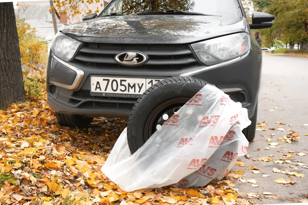 Мешки для колёс R22 AVS MK-1222, 4 шт в пакете, 17 мкм 115х115 см