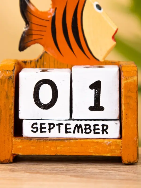 Календарь настольный "Рыбка" дерево 7х4х9 см, цв. оранжевый