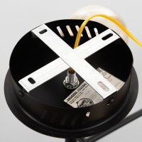 Люстра 1851/7 LED 72Вт 3000-6000К черно-золотой 79х77х43 см BayerLux