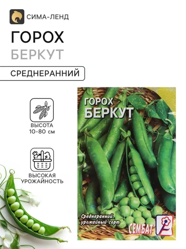 Семена Горох &laquo;Беркут&raquo;, 10 г, среднеранний, &laquo;Сембат&raquo;