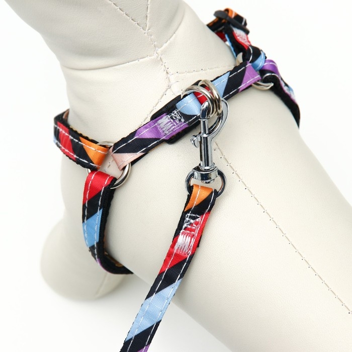 Комплект амуниции двухслойный, S, поводок 120х1 см,ОШ 24-38 ОГ 29-41 см, разноцветные полосы 96837 Комплект амуниции двухслойный, S, поводок 120х1 см,ОШ 24-38 ОГ 29-41 см, разноцветные полосы 96837