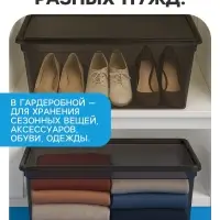 Ящик пластиковый для хранения, с крышкой, объём &mdash; 16 л, прозрачно-чёрный