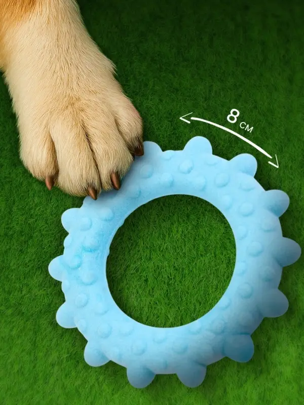 Плавающая игрушка для собак Пижон Premium &laquo;Кольцо с шипами&raquo;, 8 см, вспененный TPR, голубая