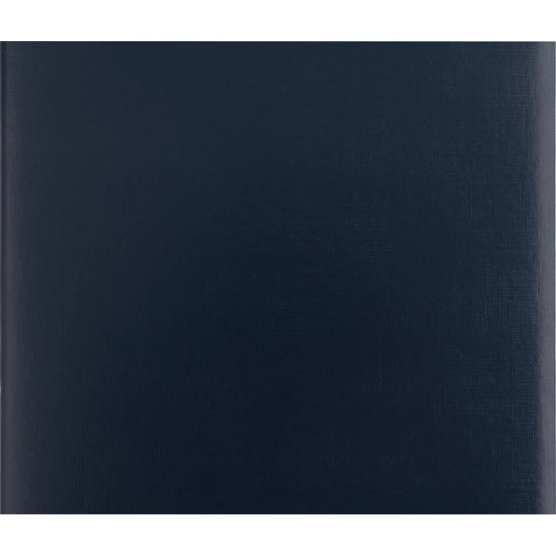 Папка адресная без тиснения бумвинил с поролоном синяя