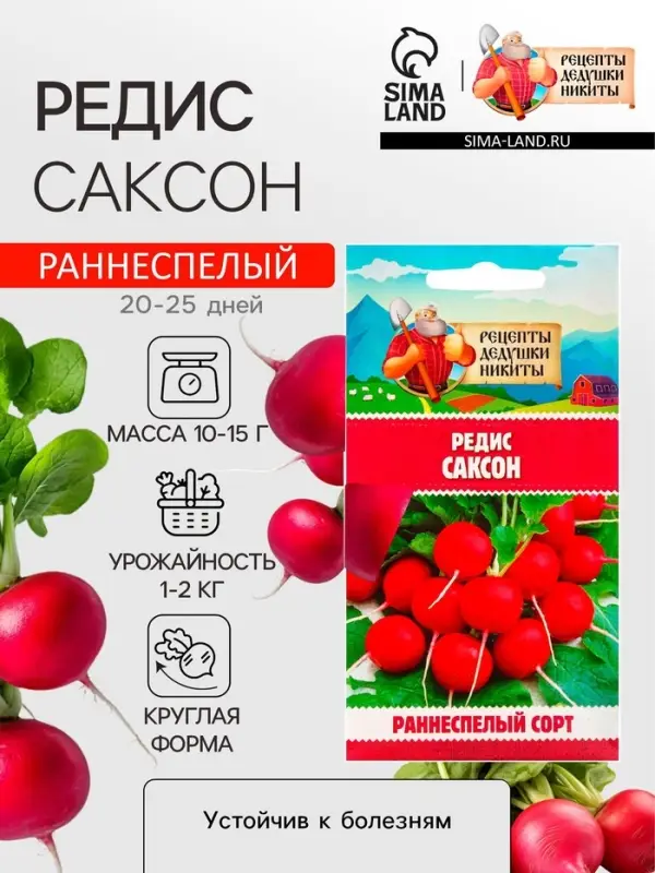 Семена Редис  Семена Редис "Саксон", 1,5 г
