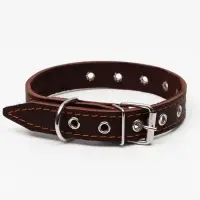 Ошейник однослойный, безразмерный, 56&times;2.5 см, ОШ 17-44 см, кожа, коричневый