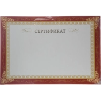 Сертификат-бумага А4, горизонт бланк бордов рамка,тиснение фольгой 10шт/уп