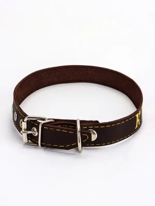 Ошейник однослойный Ошейник однослойный "Красавчик", 2.5 см, тиснение фольгой, микс цветов