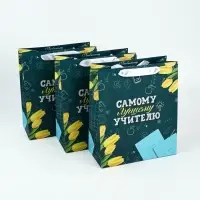 Набор пакет и открытка "Самому лучшему учителю"