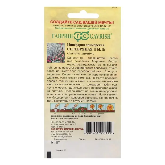 Семена цветов Цинерария приморская "Серебряная пыль", ц/п,  0,05 г
