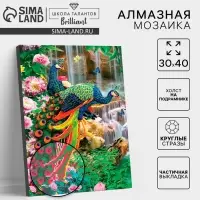 Алмазная мозаика с частичным заполнением на подрамнике &laquo;Павлины&raquo;, 30&times;40 см