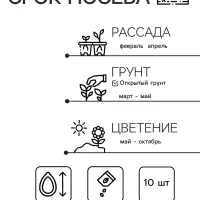 Семена цветов Петуния "Ниагара Пируэт Пурпур" F1, махровая, О, 10шт