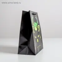 Пакет голография «Новый год», ML 23 х 27 х 11.5 см