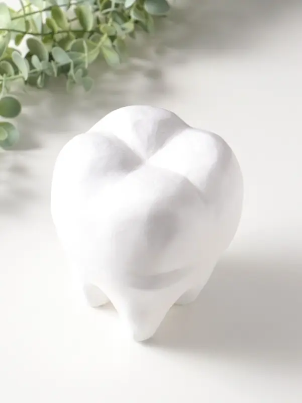 Копилка для денег &laquo;Зуб&raquo;, гипс, белый, 13&times;14&times;19 см