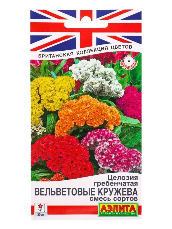 Семена цветов Целозия гребенчатая Вельветовые кружева, Британская коллекция цветов, Ц/П,0,2 г 109459 Семена цветов Целозия гребенчатая Вельветовые кружева, Британская коллекция цветов, Ц/П,0,2 г 109459