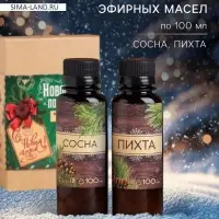 Новогодний набор ароматизаторов &laquo;Новогодняя посылочка&raquo;, сосна, пихта, 2 шт. по 100 мл