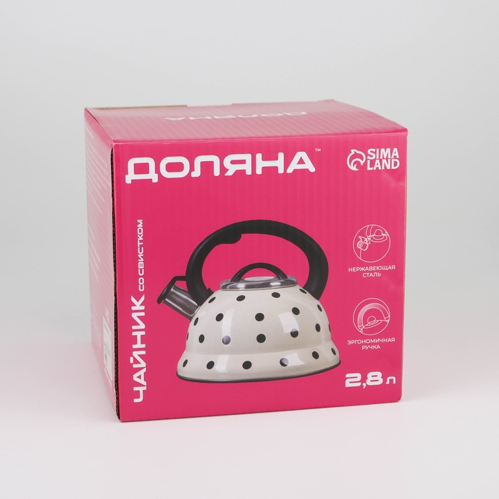 Чайник со свистком из нержавеющей стали Доляна «Горошек», 2,8 л, цвет хромированный