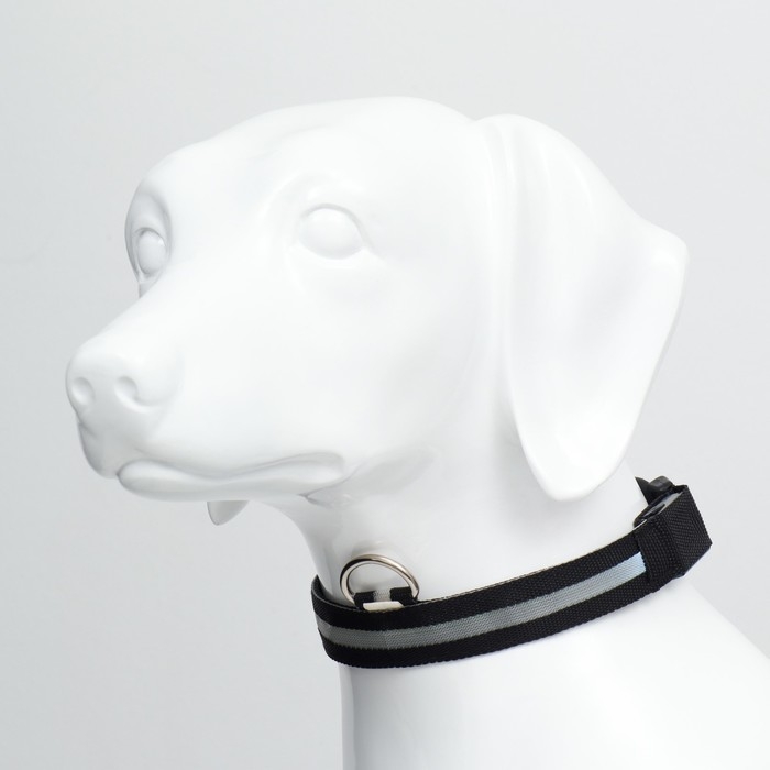 Ошейник с подсветкой размер XL, ОШ 52-60 х 2,5 см, 3 режима свечения чёрный Ошейник с подсветкой размер XL, ОШ 52-60 х 2,5 см, 3 режима свечения чёрный