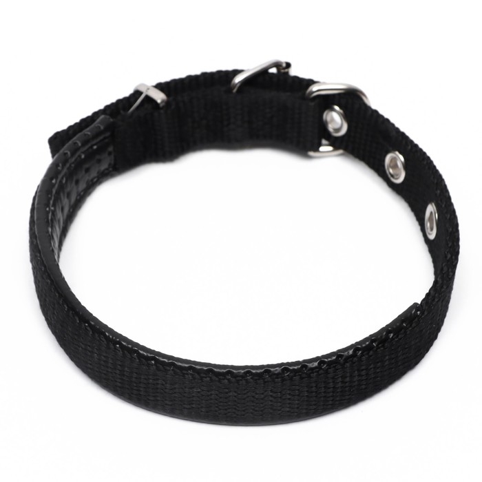 Ошейник Ошейник "Комфорт" комбинированный, 39 х 1,5 см, ОШ 26-33 см, чёрный