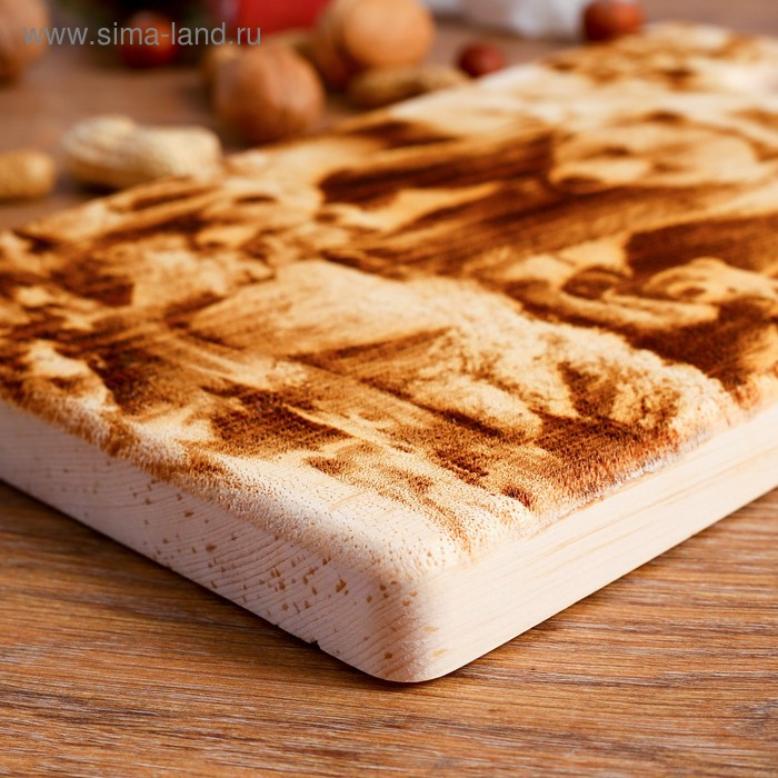 Доска из массива кедра «Медведь», прямоугольная, 18 × 28 см Доска из массива кедра «Медведь», прямоугольная, 18 × 28 см